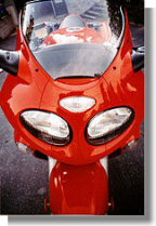 A face to love and respect... but a small wind screen.